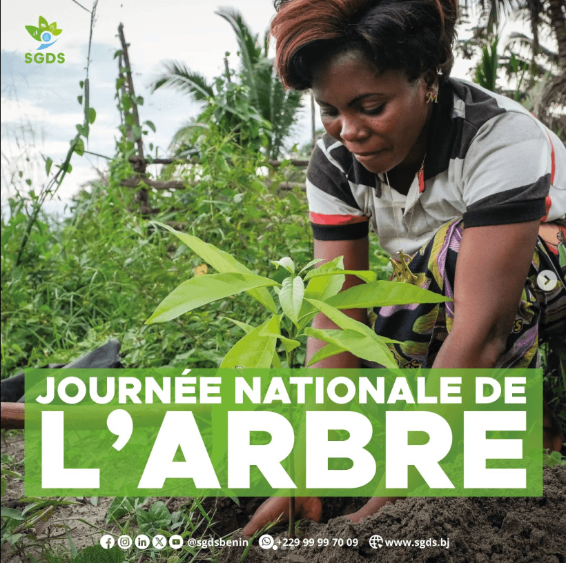 Célébrons la 40e édition de la Journée Nationale de l'arbre !